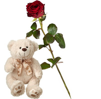 1 Rote Rose mit Teddybär